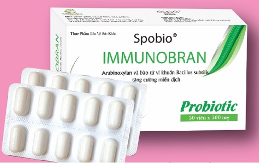 Sản xuất thực phẩm chức năng có Arabinoxylan từ cám gạo